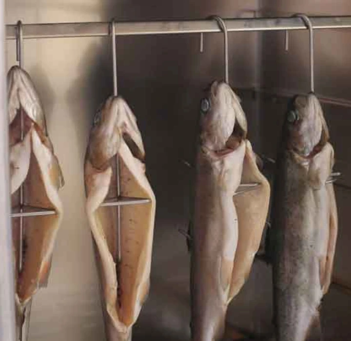 Feuerhand Tamber Tafel Grill Licht Groen - Afbeelding 5